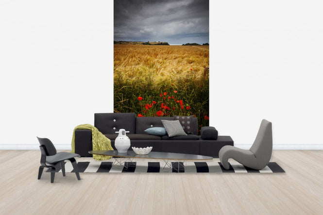 PHOTOWALL / Poppies and Hay Field (e24666)