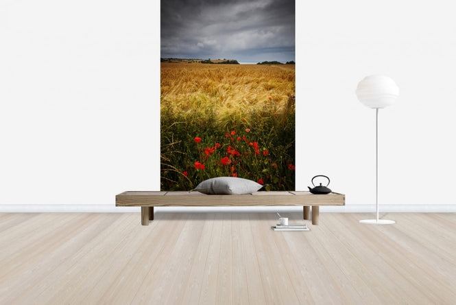 PHOTOWALL / Poppies and Hay Field (e24666)