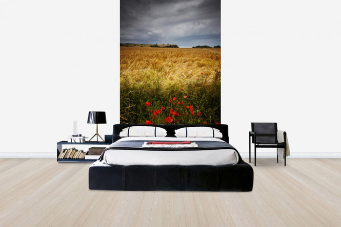 PHOTOWALL / Poppies and Hay Field (e24666)