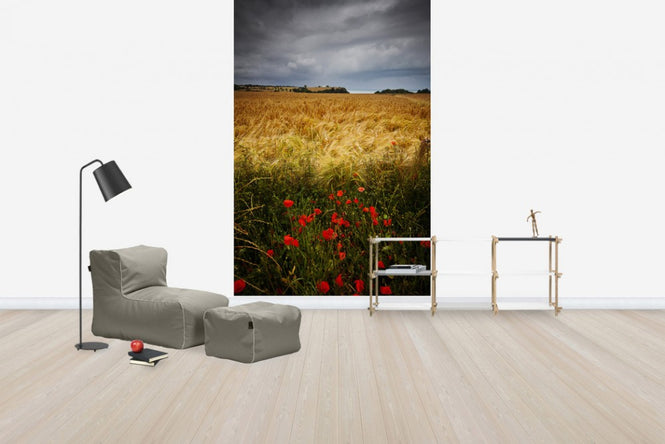 PHOTOWALL / Poppies and Hay Field (e24666)