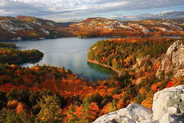 PHOTOWALL / Fall at Killarney Lake (e24673)