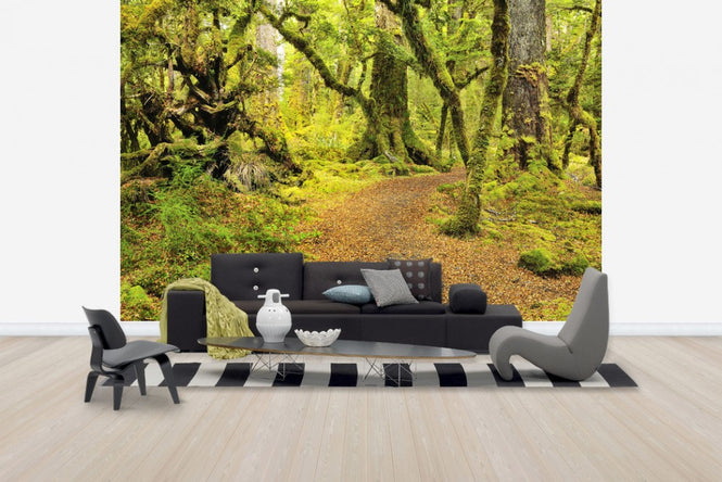 PHOTOWALL / Path through Rainforest (e24676)