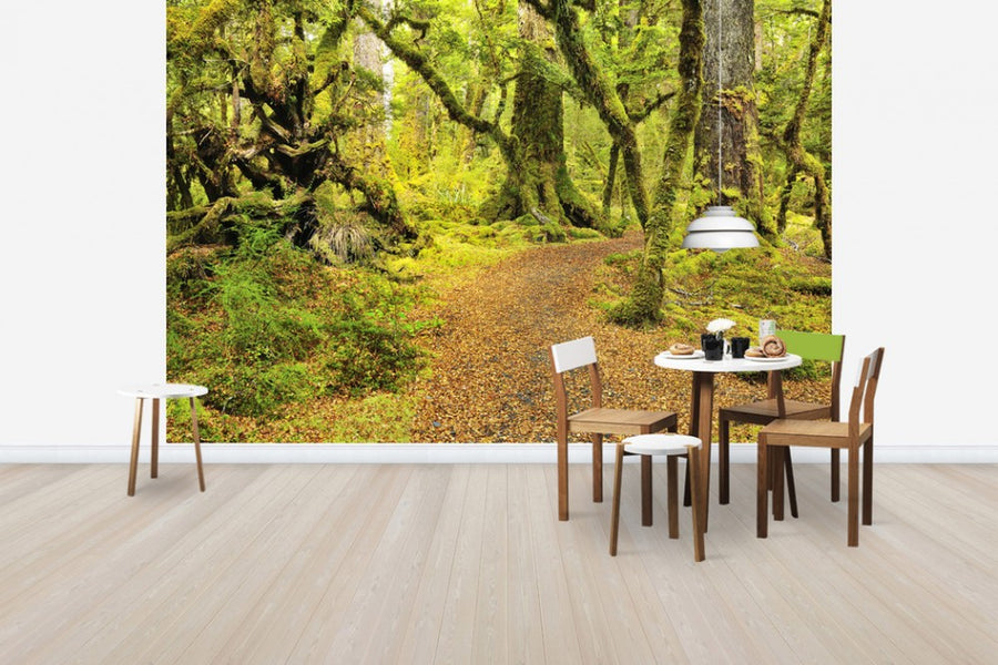 PHOTOWALL / Path through Rainforest (e24676)