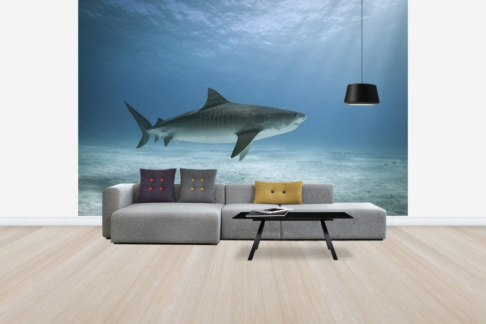 PHOTOWALL / Tiger Shark (e24631) | 輸入壁紙専門店 WALPA – WALPA.jp