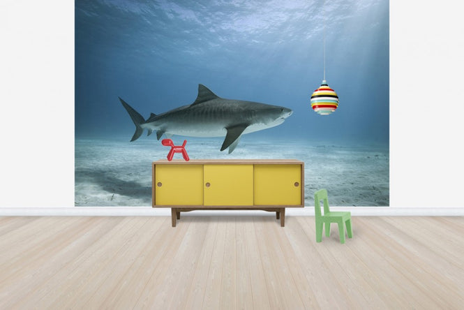 PHOTOWALL / Tiger Shark (e24631)