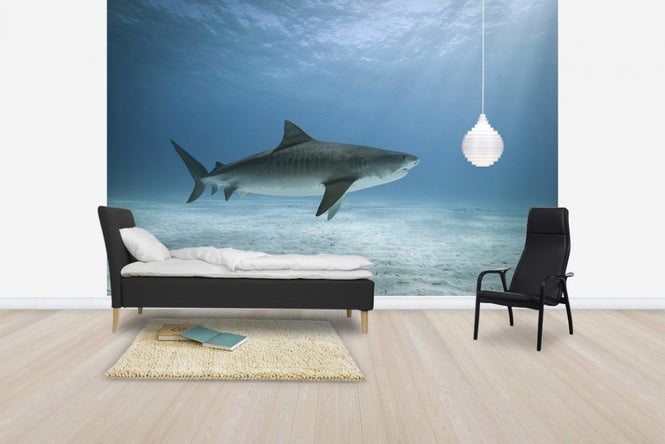 PHOTOWALL / Tiger Shark (e24631)