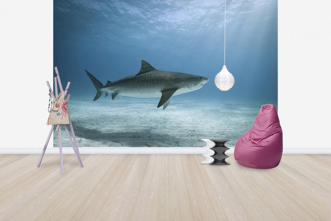 PHOTOWALL / Tiger Shark (e24631)