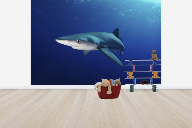 PHOTOWALL / Lone Blue Shark (e24633)