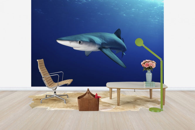 PHOTOWALL / Lone Blue Shark (e24633)