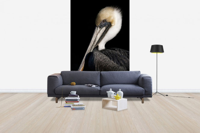 PHOTOWALL / Pelican Portrait (e24641)