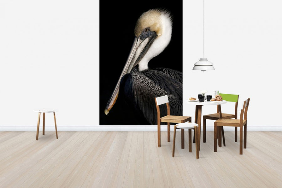 PHOTOWALL / Pelican Portrait (e24641)