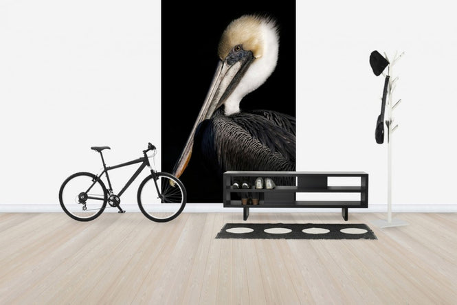 PHOTOWALL / Pelican Portrait (e24641)