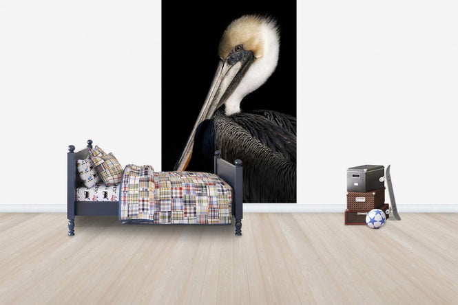PHOTOWALL / Pelican Portrait (e24641)