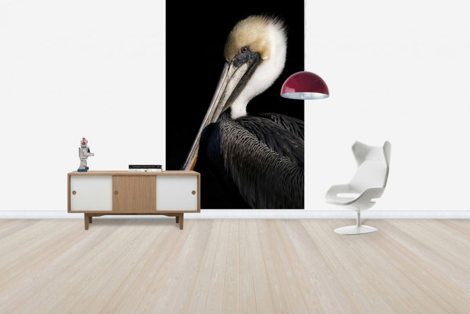 PHOTOWALL / Pelican Portrait (e24641)