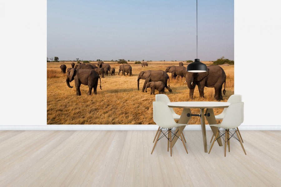 PHOTOWALL / African Elephant Herd (e24643)