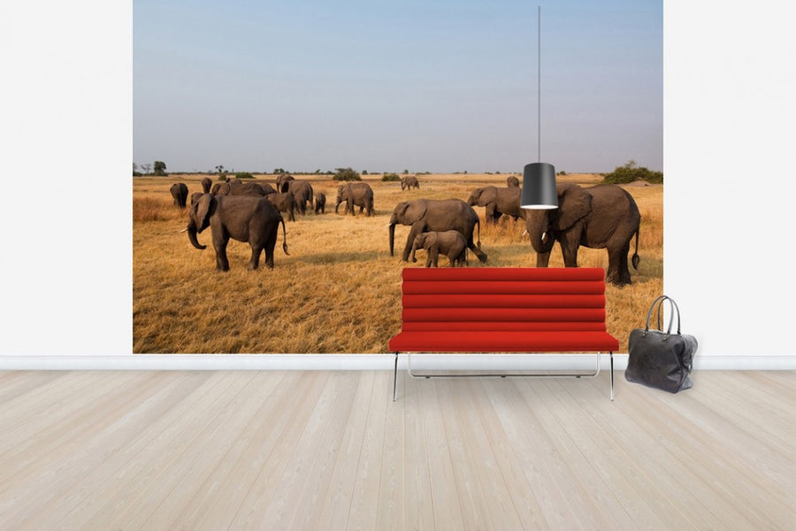 PHOTOWALL / African Elephant Herd (e24643)