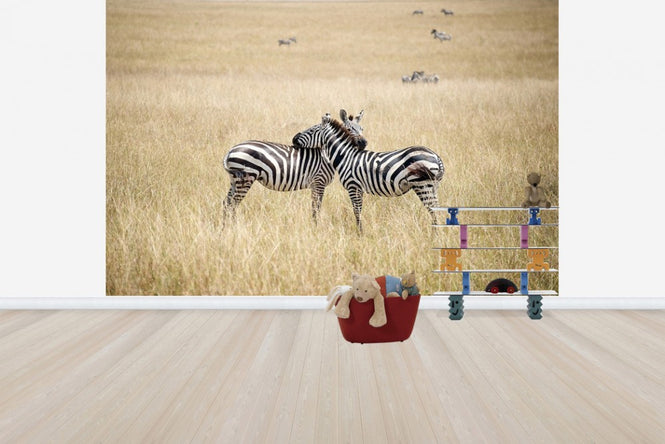 PHOTOWALL / Zebra Embrace (e24649)