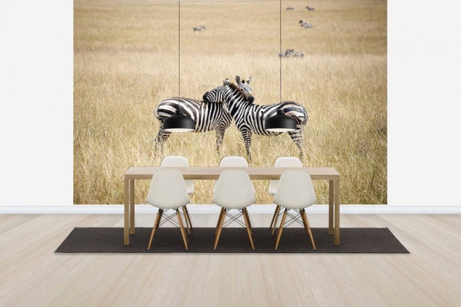 PHOTOWALL / Zebra Embrace (e24649)