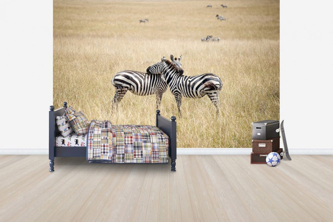 PHOTOWALL / Zebra Embrace (e24649)