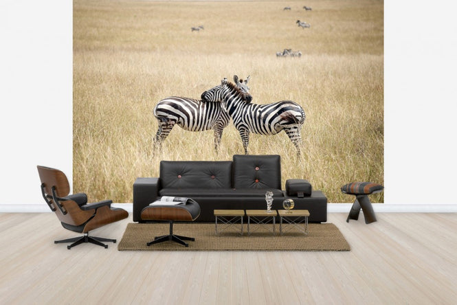 PHOTOWALL / Zebra Embrace (e24649)