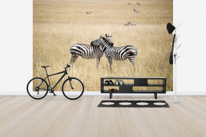 PHOTOWALL / Zebra Embrace (e24649)