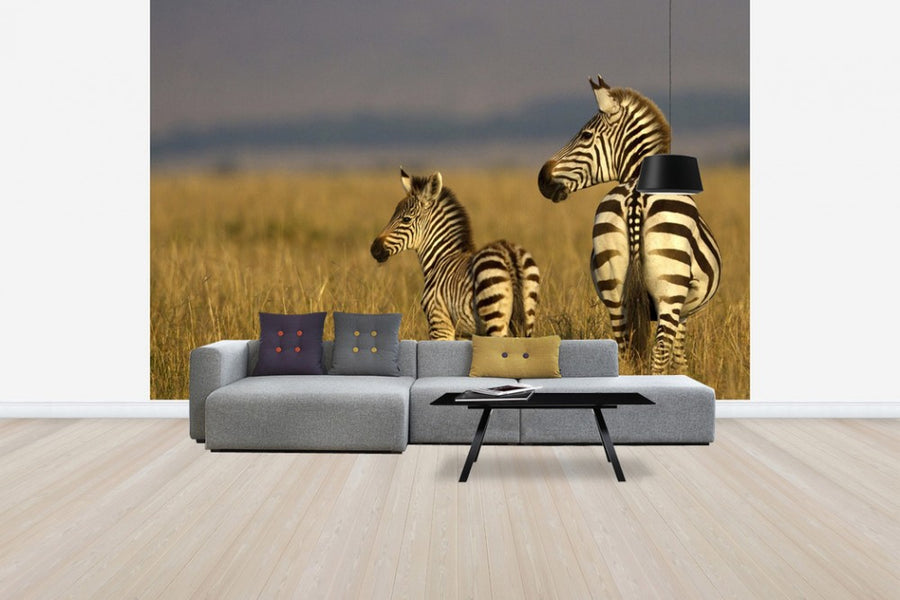 PHOTOWALL / Zebra with Foal (e24650)
