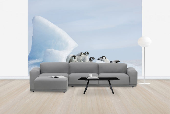 PHOTOWALL / Under Cover Chicks (e24652)