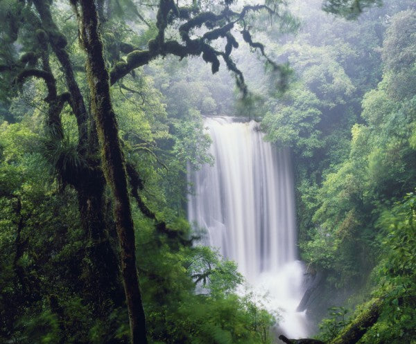 PHOTOWALL / Waterfall in the Rain (e24693)