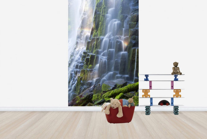 PHOTOWALL / Proxy Falls with Rainbow (e24701)