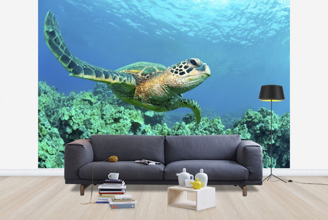 PHOTOWALL / Sea Turtle in Coral (e24724)