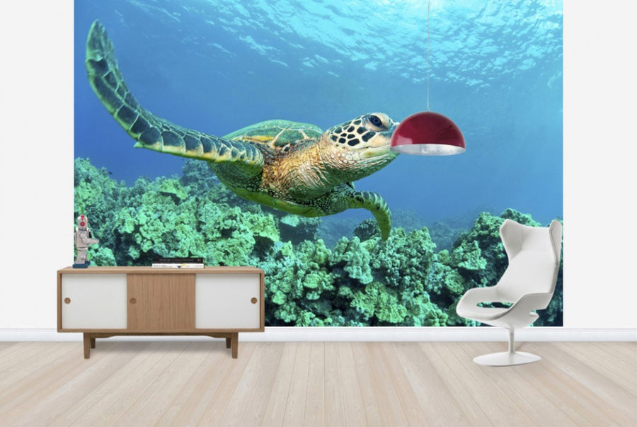 PHOTOWALL / Sea Turtle in Coral (e24724)