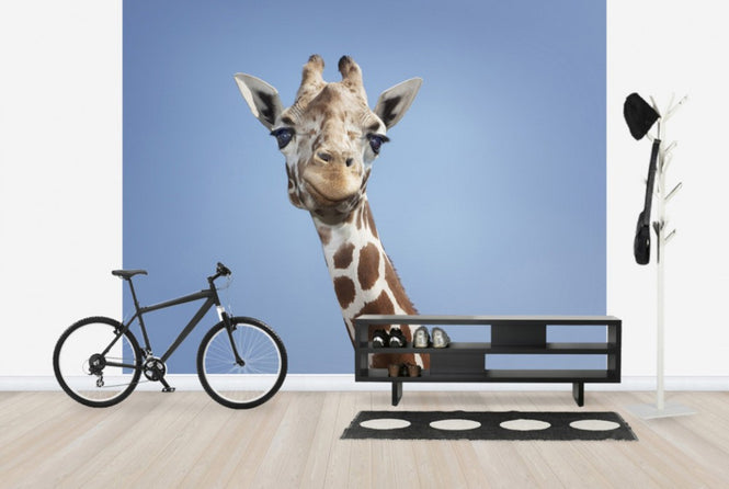 PHOTOWALL / Tallest Giraffe (e24729)