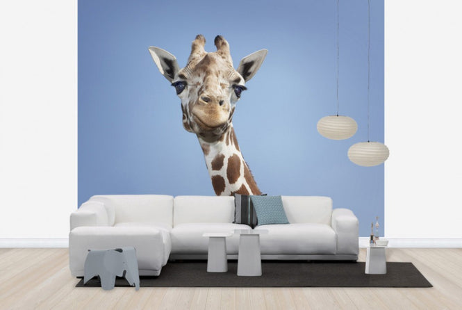 PHOTOWALL / Tallest Giraffe (e24729)