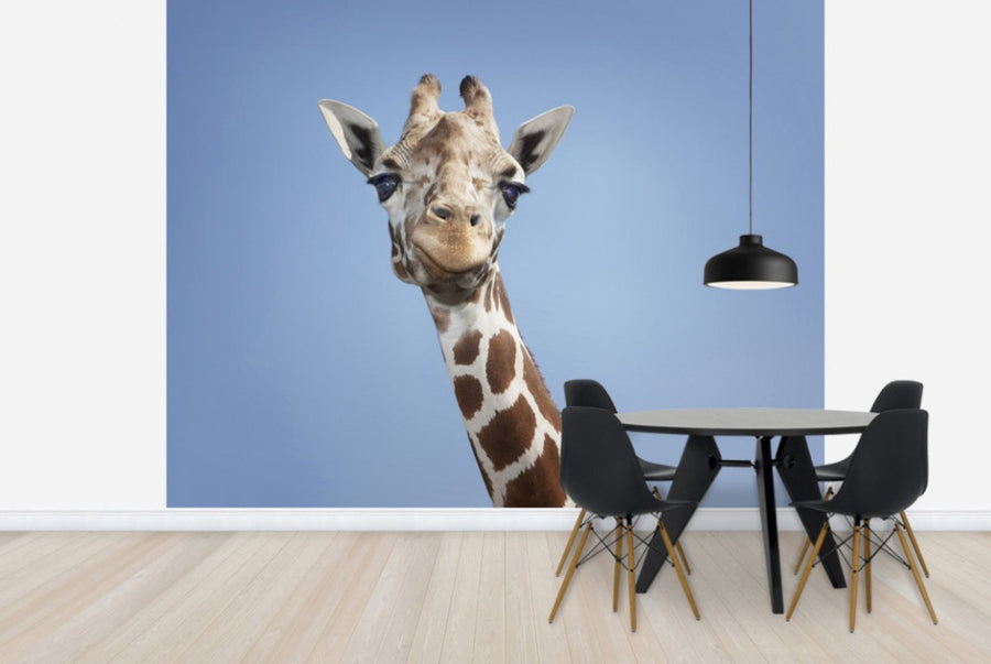 PHOTOWALL / Tallest Giraffe (e24729)