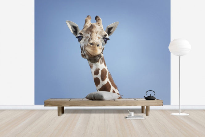 PHOTOWALL / Tallest Giraffe (e24729)