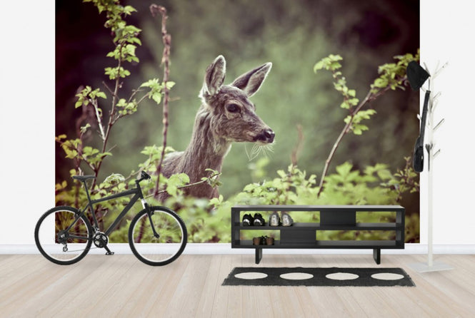 PHOTOWALL / Deer in Forest (e24746)