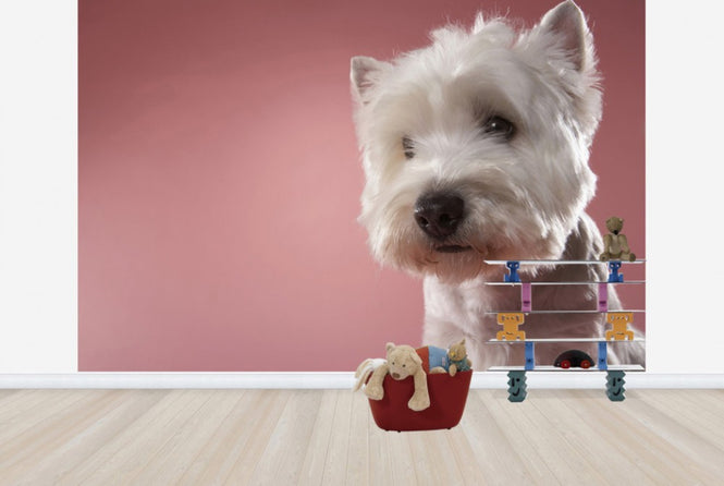 PHOTOWALL / West Highland Terrier (e24759)