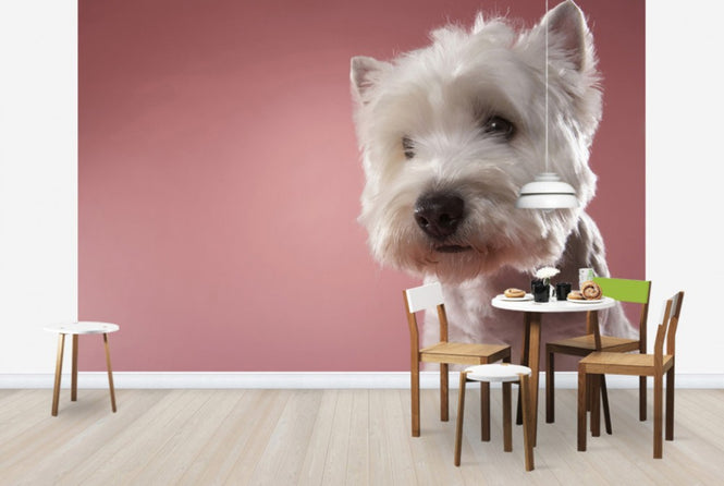 PHOTOWALL / West Highland Terrier (e24759)