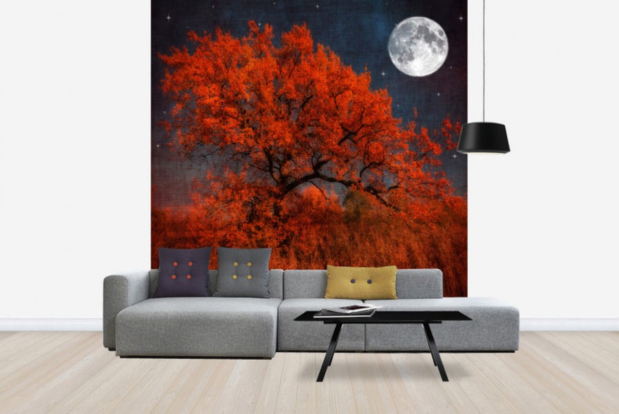 PHOTOWALL / Halloween Tree (e24789)