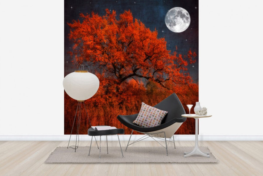 PHOTOWALL / Halloween Tree (e24789)