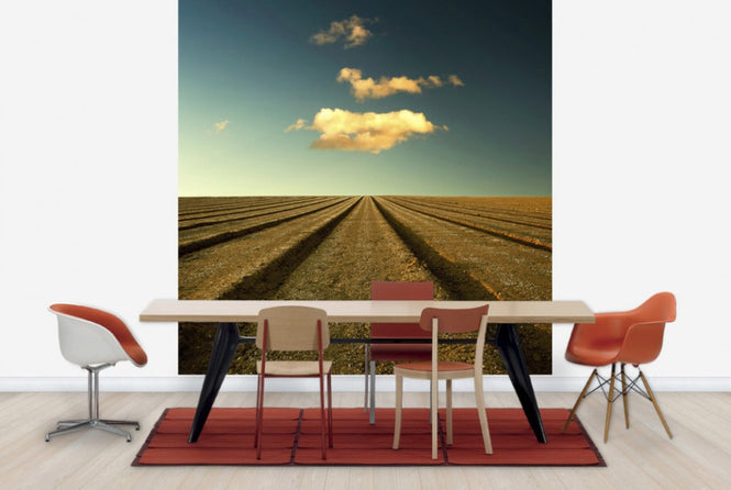 PHOTOWALL / Ploughed Field and Sky (e24799)