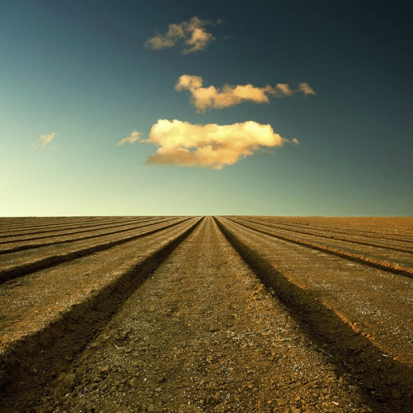 PHOTOWALL / Ploughed Field and Sky (e24799)