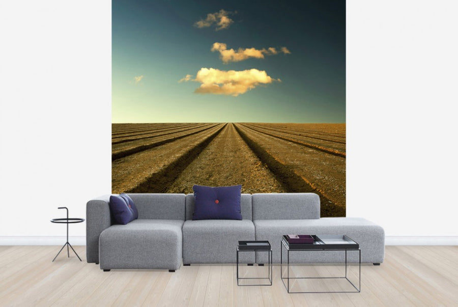 PHOTOWALL / Ploughed Field and Sky (e24799)