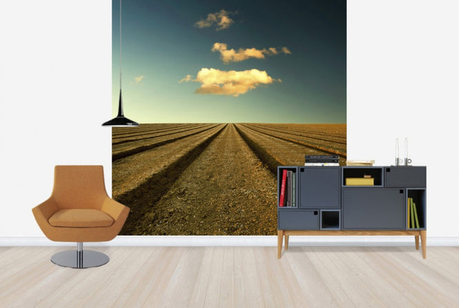 PHOTOWALL / Ploughed Field and Sky (e24799)