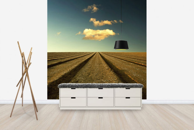 PHOTOWALL / Ploughed Field and Sky (e24799)