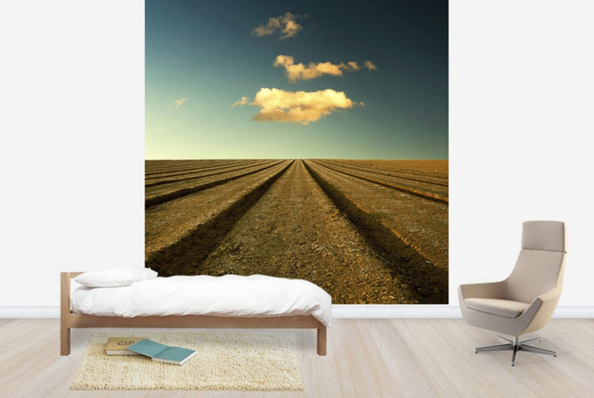 PHOTOWALL / Ploughed Field and Sky (e24799)