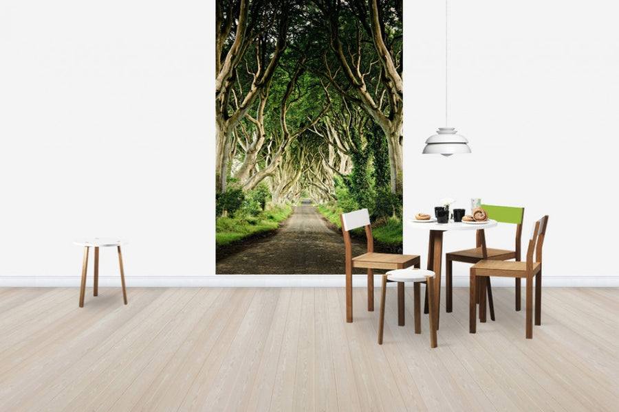 PHOTOWALL / The Dark Hedges (e29410)