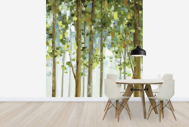 PHOTOWALL / Forest Study (e24892)