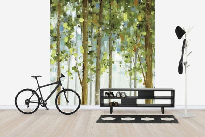 PHOTOWALL / Forest Study (e24892)