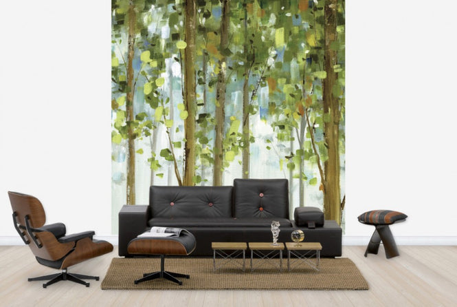 PHOTOWALL / Forest Study (e24892)